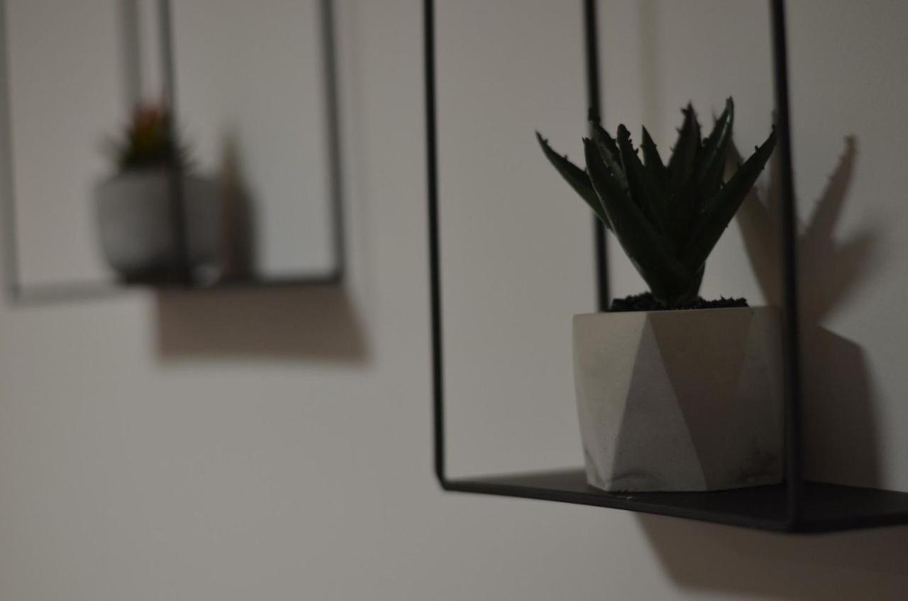 Apartman N&A Novi Sad Eksteriør billede